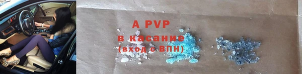 бошки Гусев