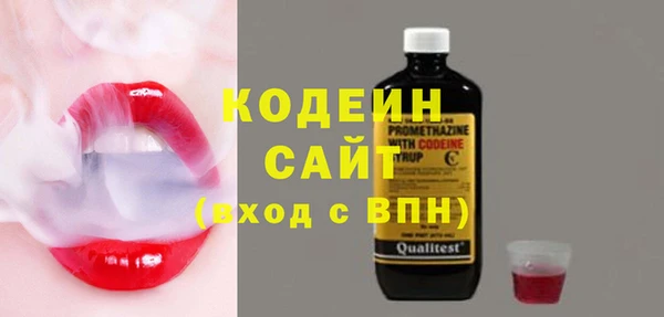 сатива Гусь-Хрустальный