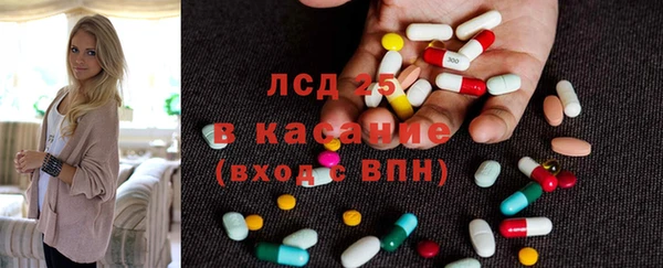 сатива Гусь-Хрустальный