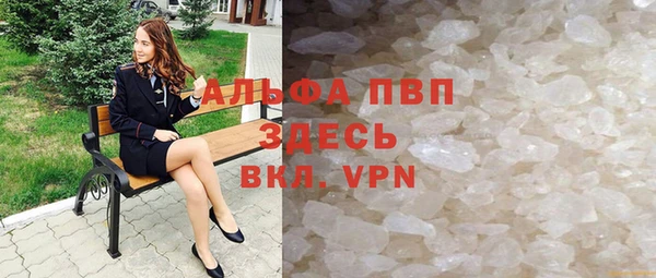 сатива Гусь-Хрустальный
