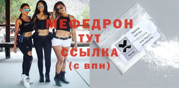 индика Дмитров