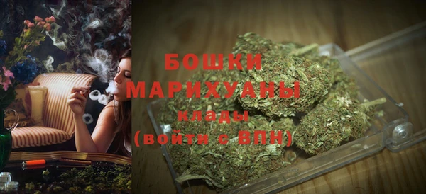 бошки Гусев