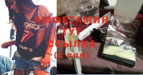сатива Гусь-Хрустальный