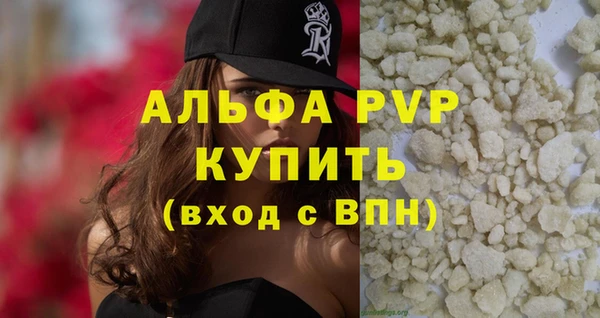 сатива Гусь-Хрустальный