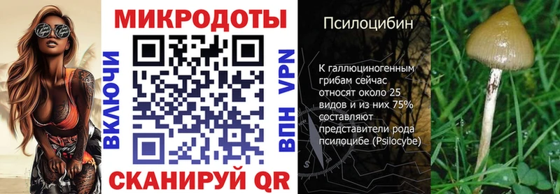 Купить где  Инта  Псилоцибиновые грибы мицелий 