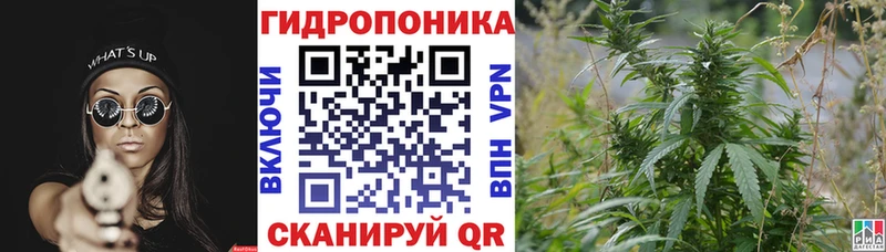 Купить где Инта Марихуана VHQ
